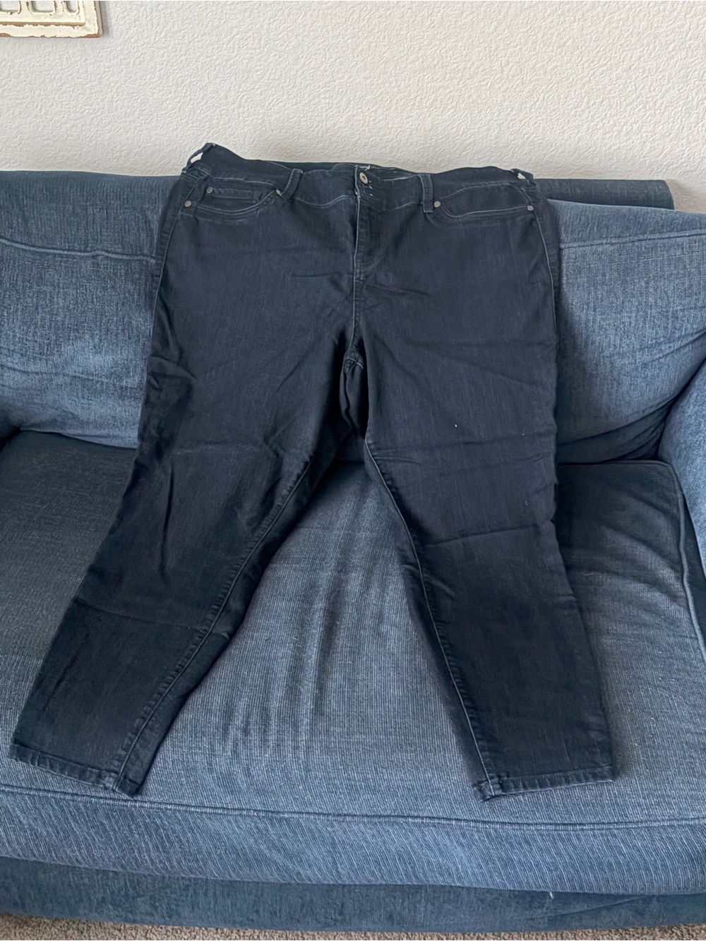Torrid Dark Denim Jeans